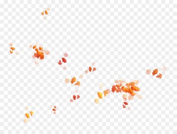 Tree, Yellow, Leaf, Orange, Text PNG
