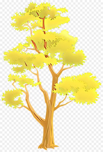 tree yellow plant woody plant leaf