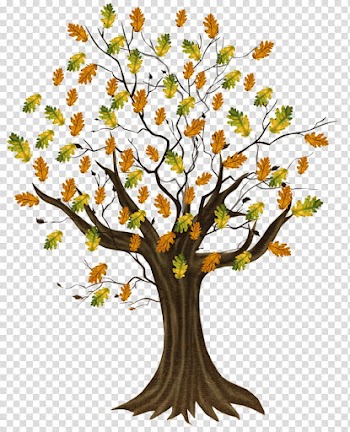 Treelet Leaf Trunk Woody plant, autumn transparent background PNG clipart