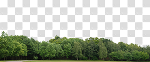 Treeline png 3 » PNG Image