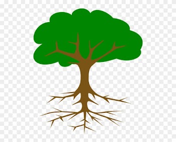 Treeroot22 Clip Art At Clker - Tree Clip Art