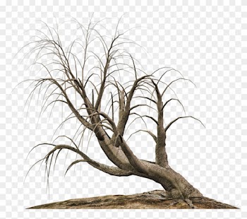Trees 16 Png Stock By Roy3d - Tree Png Deviantart