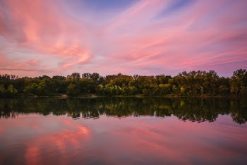 Trees Across Water during Sunset