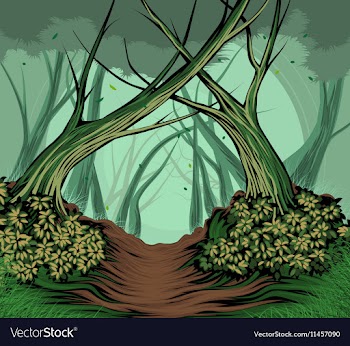 Trees and forest vector image