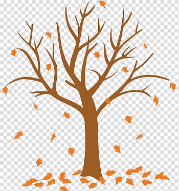 Trees and Leaves Autumn leaf color , tree transparent background PNG clipart