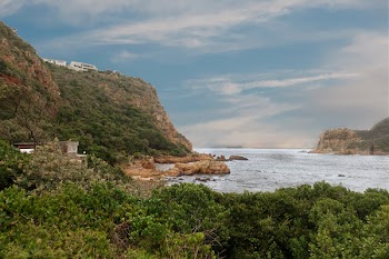 Trees and Mountain Beside Beach