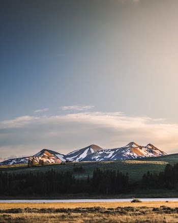 trees and mountain under clear sky