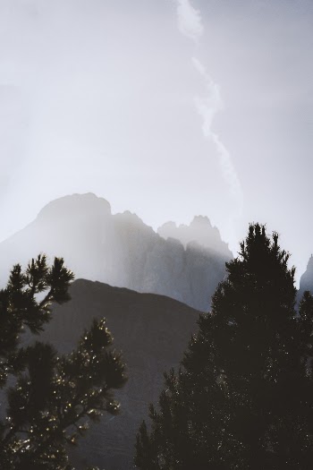 Trees and Mountains during Day