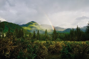 Trees and Mountains Under Gray Sky