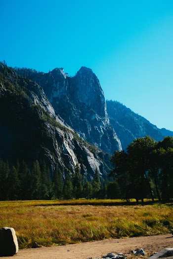 Trees and Rocky Mountains