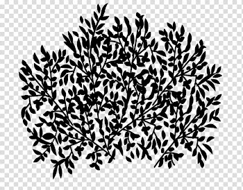 Trees and Twigs Brushes, black and white abstract painting transparent background PNG clipart