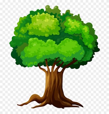 Trees ‿✿⁀°••○ - Arbol Dibujo Png