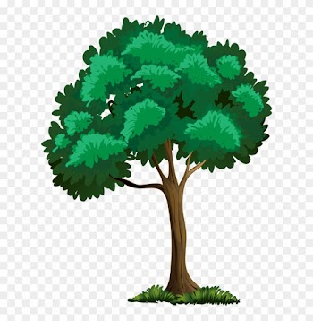 Trees ‿✿⁀°••○ - Arbre Clipart Png