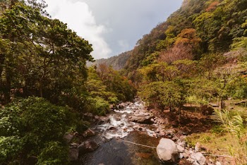 Trees Beside River Under Hill