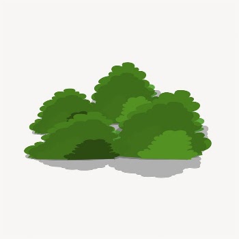 Trees bush clipart, botanical illustration | Free Vector - rawpixel