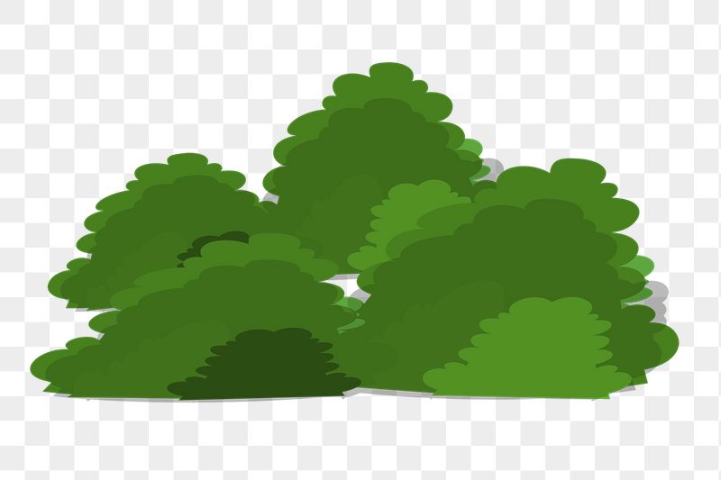 Trees bush png sticker, botanical | Free PNG - rawpixel