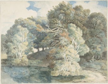 Trees by the Lake, Peamore | Free Photo - rawpixel