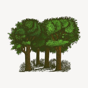 Trees clipart, forest illustration vector. | Free Vector - rawpixel