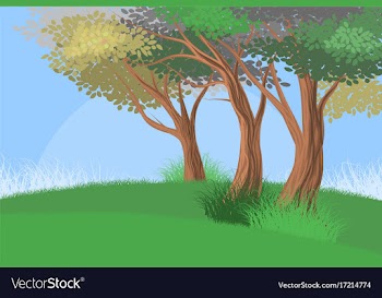 Trees forest scene vector image