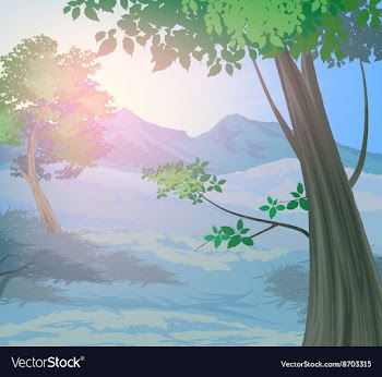 Trees forest vector image