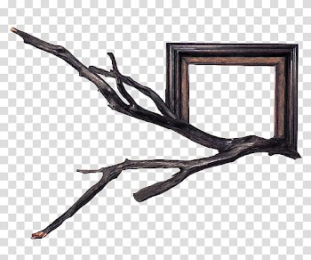 Trees In Frames s, brown and black wooden frame illustration transparent background PNG clipart