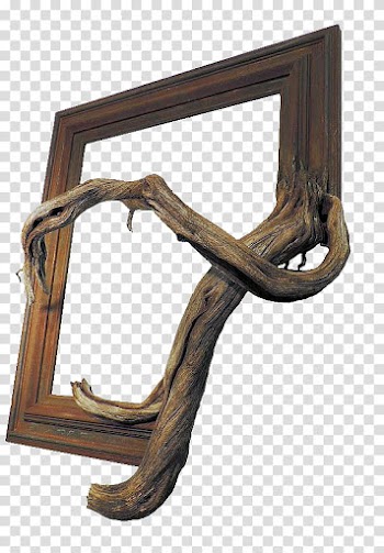 Trees In Frames s, brown root frame transparent background PNG clipart