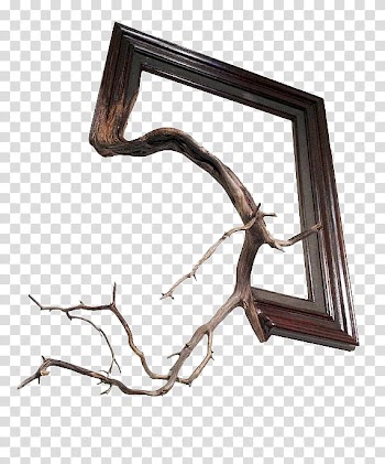 Trees In Frames s, rectangular brown wooden frame transparent background PNG clipart