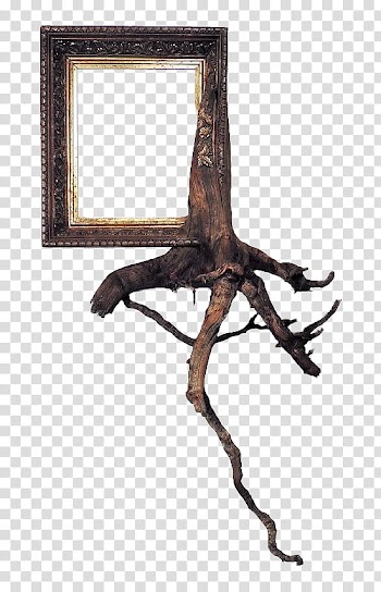 Trees In Frames s, rectangular brown wooden frame transparent background PNG clipart