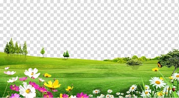 Trees landscape material meadow flowers transparent background PNG clipart