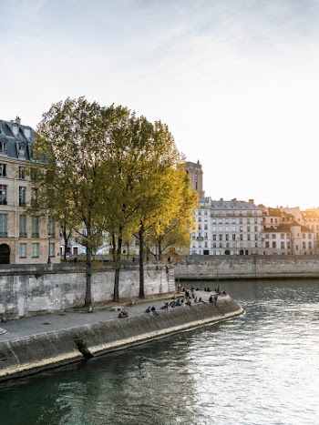 Trees Near Body Of Water And Buildings