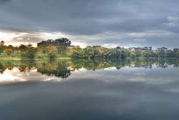 Trees Near Body of Water Under Grey Cloudy Sky