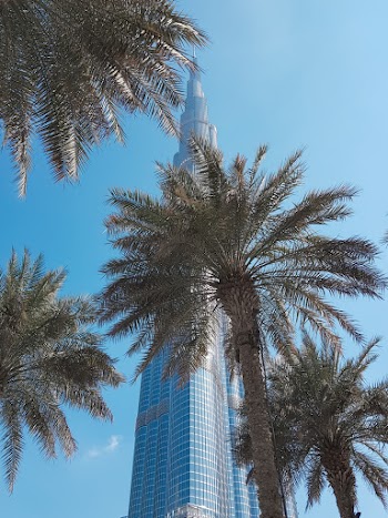 Trees Near Building