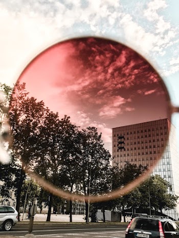 Trees Near Building