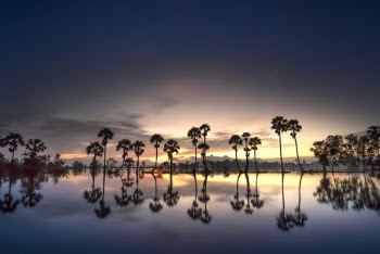 Trees Near Calm Body Of Water During Golden Hour