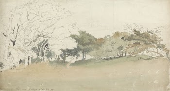 Trees near Hastings | Free Photo - rawpixel