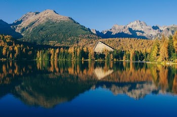 trees near mountain mirror reflection photography