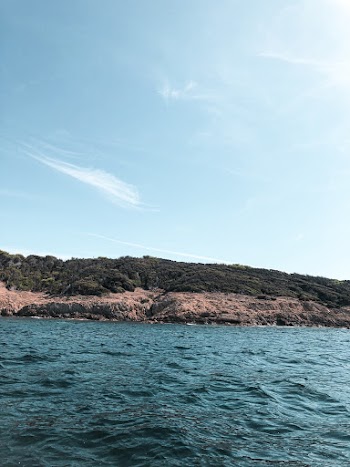 Trees on Hill Near Body of Water
