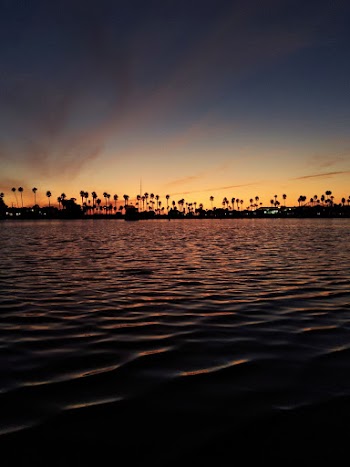 Trees on Island during Golden Hour