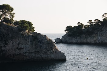 Trees On Mountain Rock Formations On The Sea