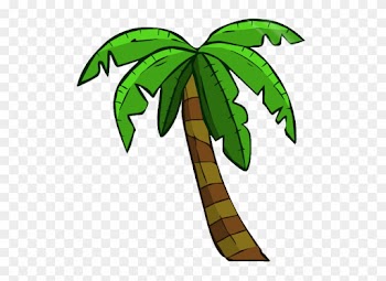 Trees - Palm Trees