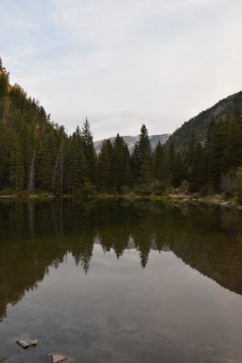 Trees Reflecting on Body of Water