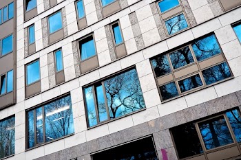 Trees Reflection on Building