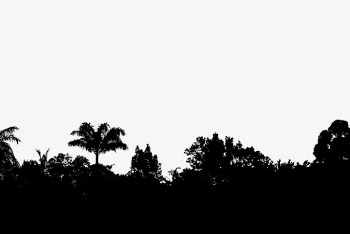 Trees silhouette, nature border vector. | Free Vector - rawpixel