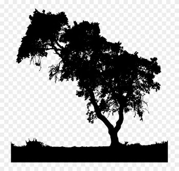 Trees Silhouette - People Nature Icon Png