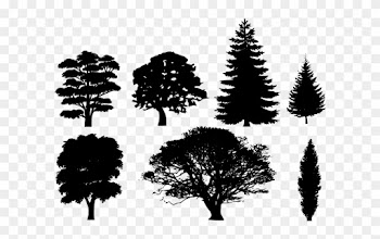 Trees Silhouette Vector Png