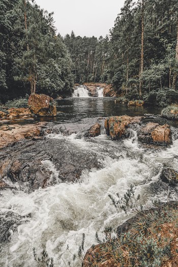 Trees Surrounding A Rocky River With Rapids