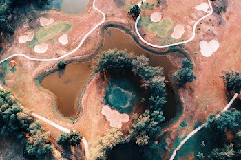 Trees Surrounding Land With Body of Water