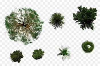 Trees Top View By Thobar On Deviantart - Tree Top View Deviantart