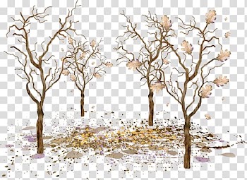 Trees transparent background PNG clipart