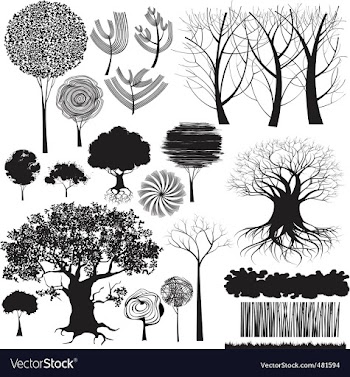 Trees vector image